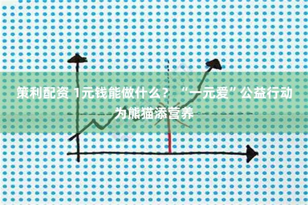 策利配资 1元钱能做什么? “一元爱”公益行动为熊猫添营养
